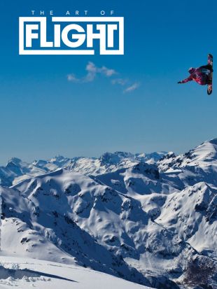 The Art of Flight (2011) Curt Synopsis, Characteristics